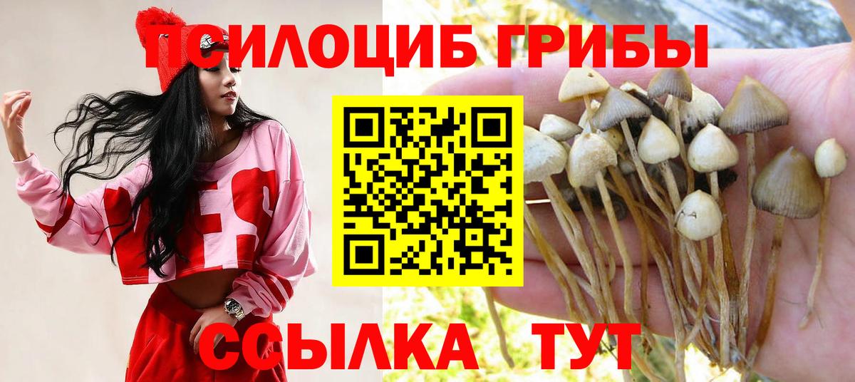 Галлюциногенные грибы Cubensis  Вход с VPN  Псилоцибиновые грибы ЛСД  Моршанск 
